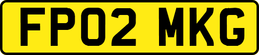FP02MKG