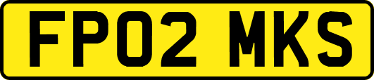 FP02MKS