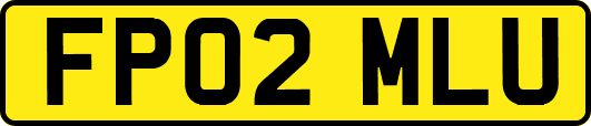 FP02MLU