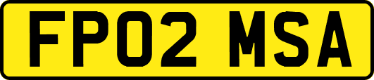 FP02MSA