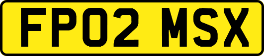 FP02MSX