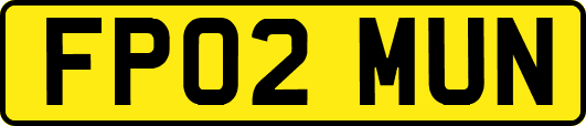 FP02MUN