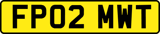 FP02MWT