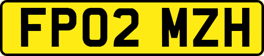 FP02MZH
