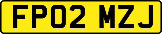 FP02MZJ