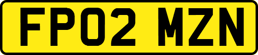 FP02MZN