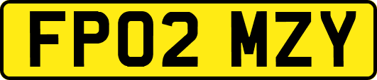 FP02MZY