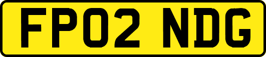 FP02NDG