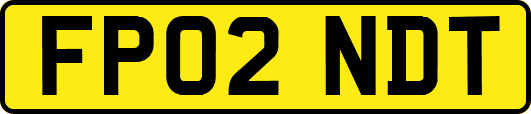 FP02NDT