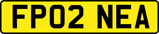 FP02NEA