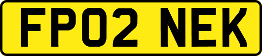 FP02NEK