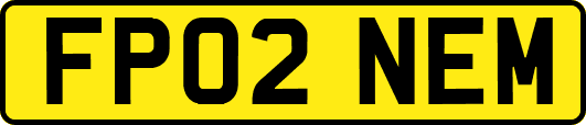 FP02NEM