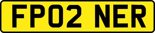 FP02NER