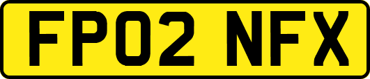 FP02NFX
