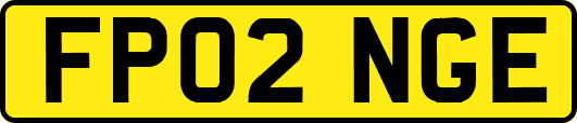FP02NGE