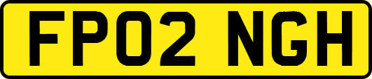 FP02NGH
