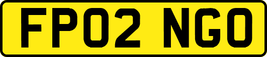FP02NGO