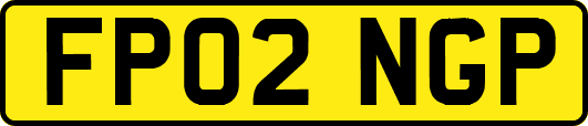 FP02NGP