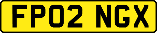 FP02NGX