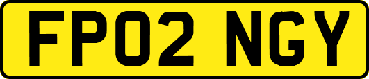 FP02NGY