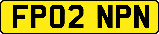 FP02NPN