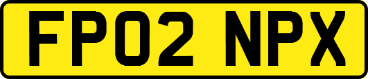 FP02NPX
