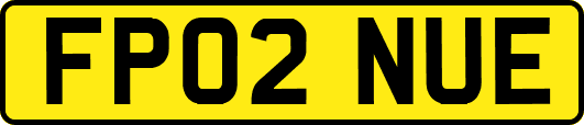 FP02NUE