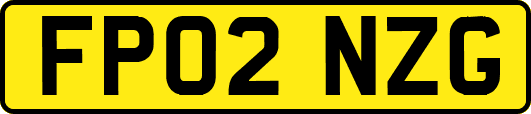 FP02NZG