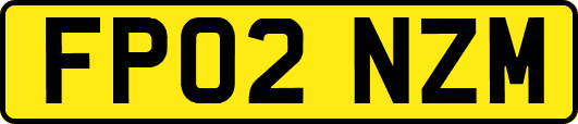 FP02NZM