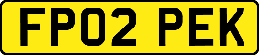 FP02PEK