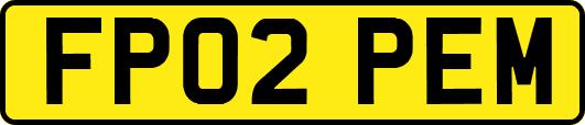 FP02PEM