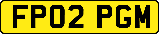FP02PGM