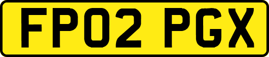 FP02PGX