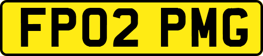 FP02PMG