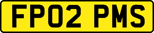 FP02PMS