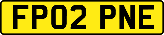 FP02PNE