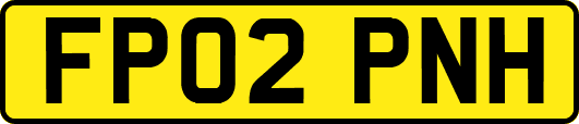 FP02PNH