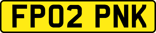 FP02PNK