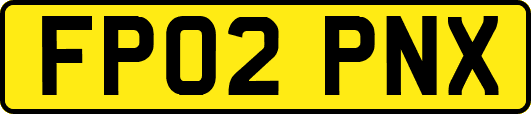 FP02PNX