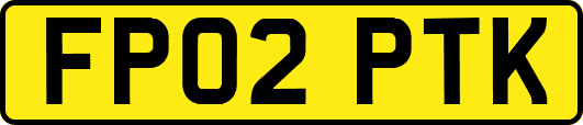 FP02PTK