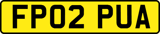 FP02PUA