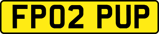 FP02PUP