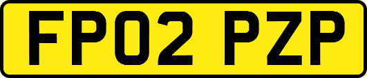 FP02PZP