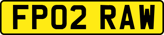 FP02RAW