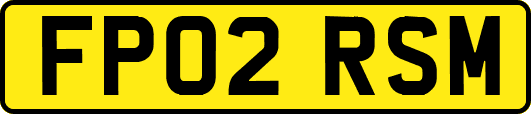 FP02RSM