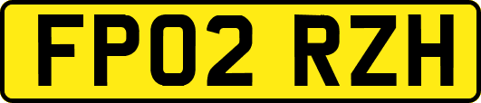 FP02RZH