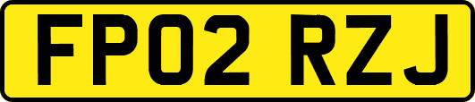 FP02RZJ