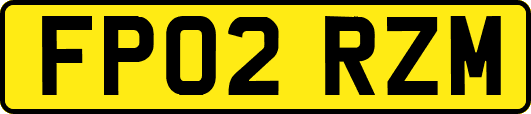 FP02RZM