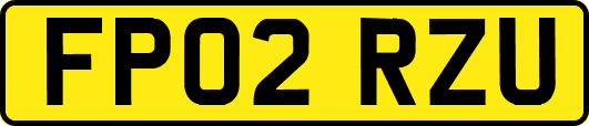 FP02RZU