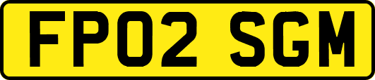 FP02SGM